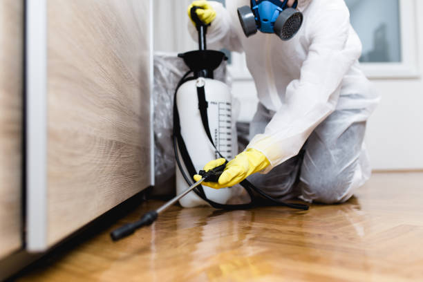 Best Bed Bug Extermination  in West Van Lear, KY