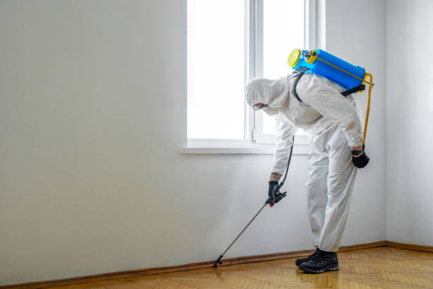 Best Pest Prevention Services  in West Van Lear, KY