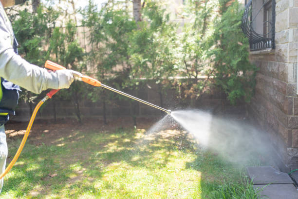 Best Best Pest Control Companies  in West Van Lear, KY