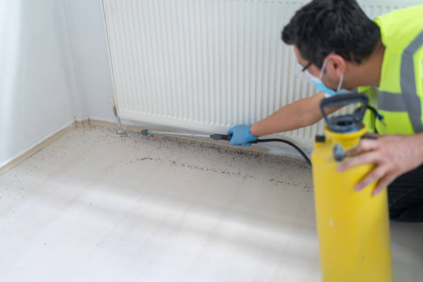 Best Affordable Pest Control Services  in West Van Lear, KY