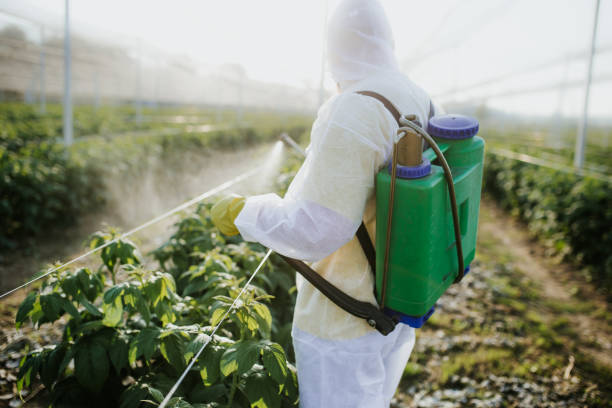 Best Affordable Pest Control Services  in West Van Lear, KY
